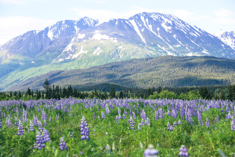 The Ultimate 10-Day Alaska Itinerary for Families