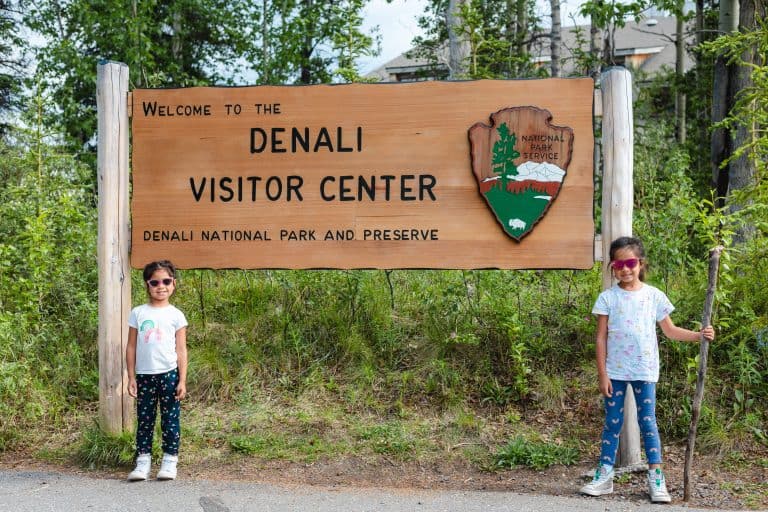 Denali National Park with Kids