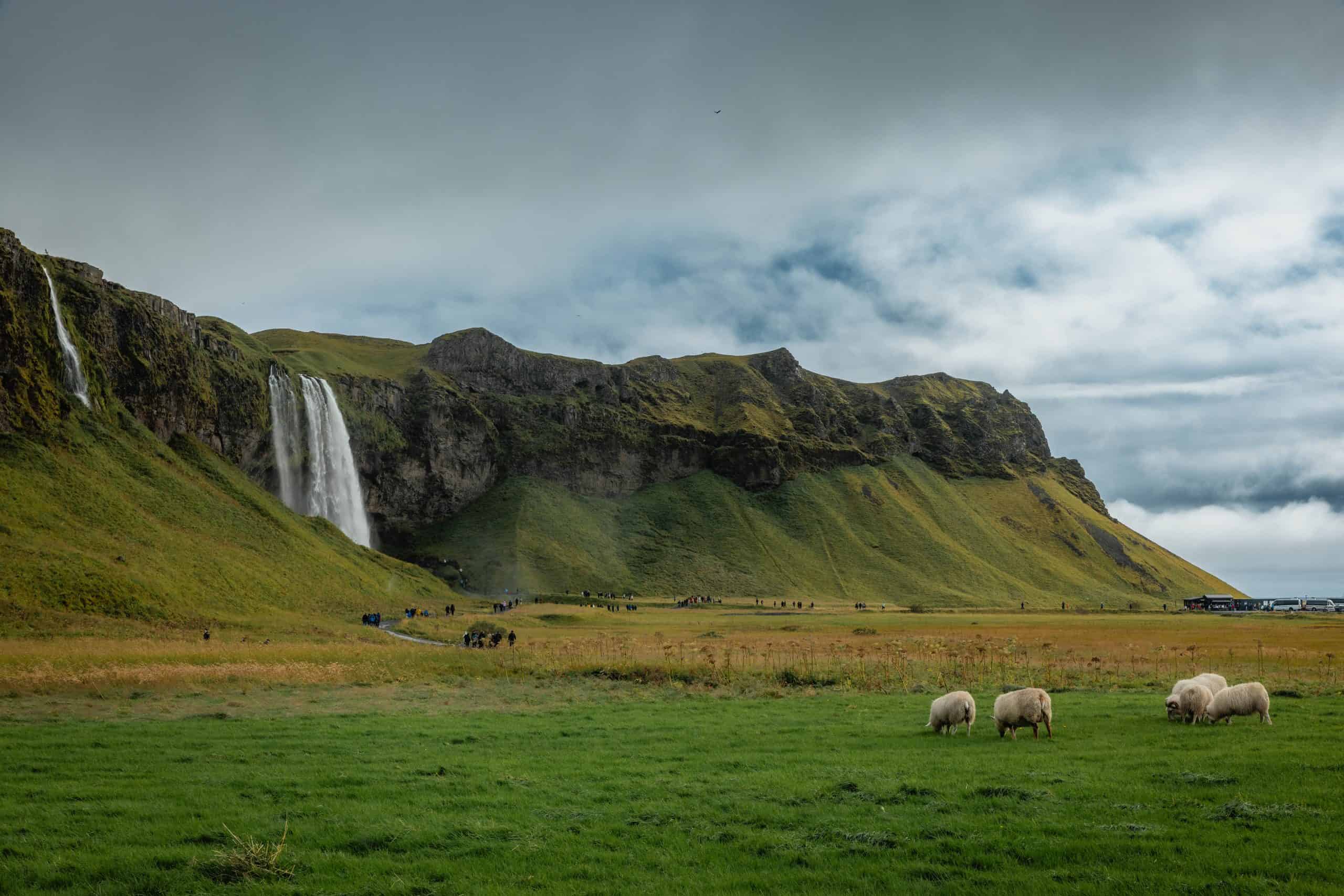 Seljalandfoss
